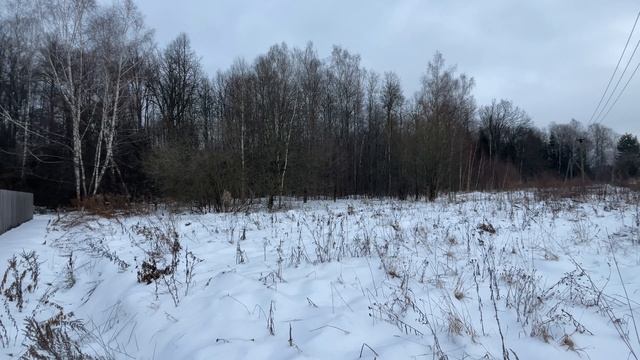 50:32:0050105:1441,  деревня Арнеево, улица Лесная, земельный участок 10б