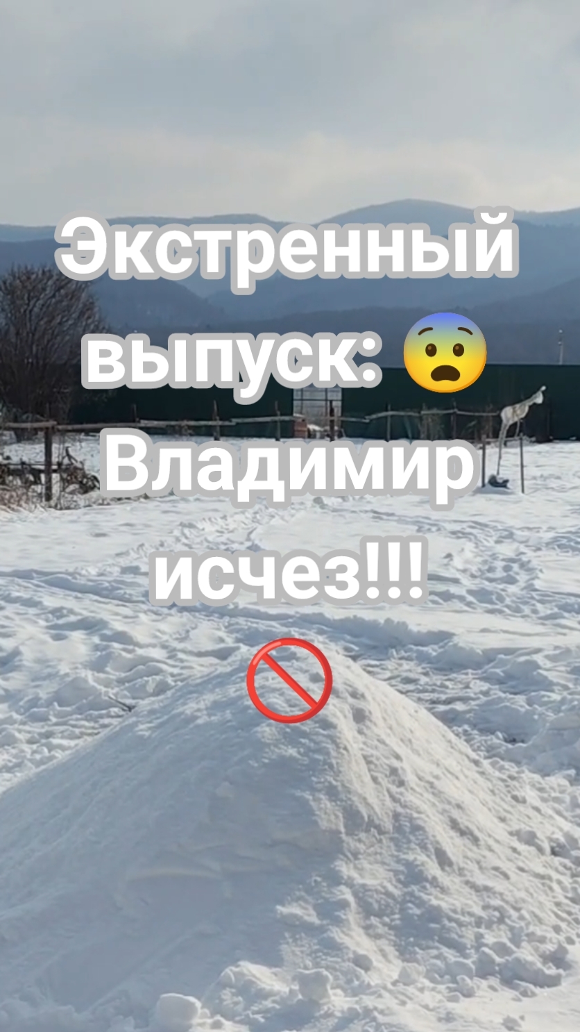 🚨 Экстренный выпуск: Владимир исчез 😨