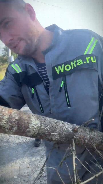 Деревья в дробилку целиком заходят. С таким чипером и работа в радость!