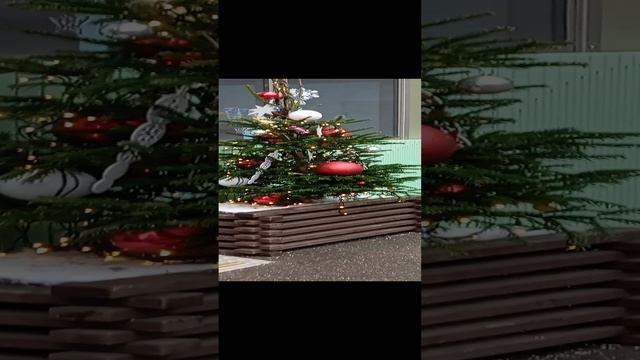 Зарисовка новогодних ёлочек у рынка выходного для