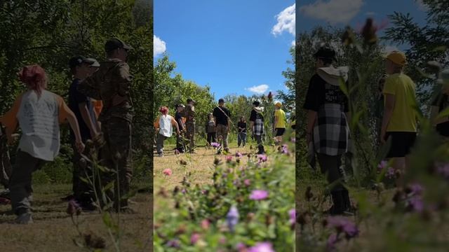 🌼🌾Летняя смена 2024🌾🌼