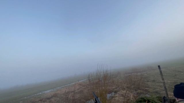 ОХОТА НА ГУСЯ 2024. ЛУЧШИЕ НАЛЕТЫ И ВЫСТРЕЛЫ #hunting #охота #goosehunting #hunter #гусь