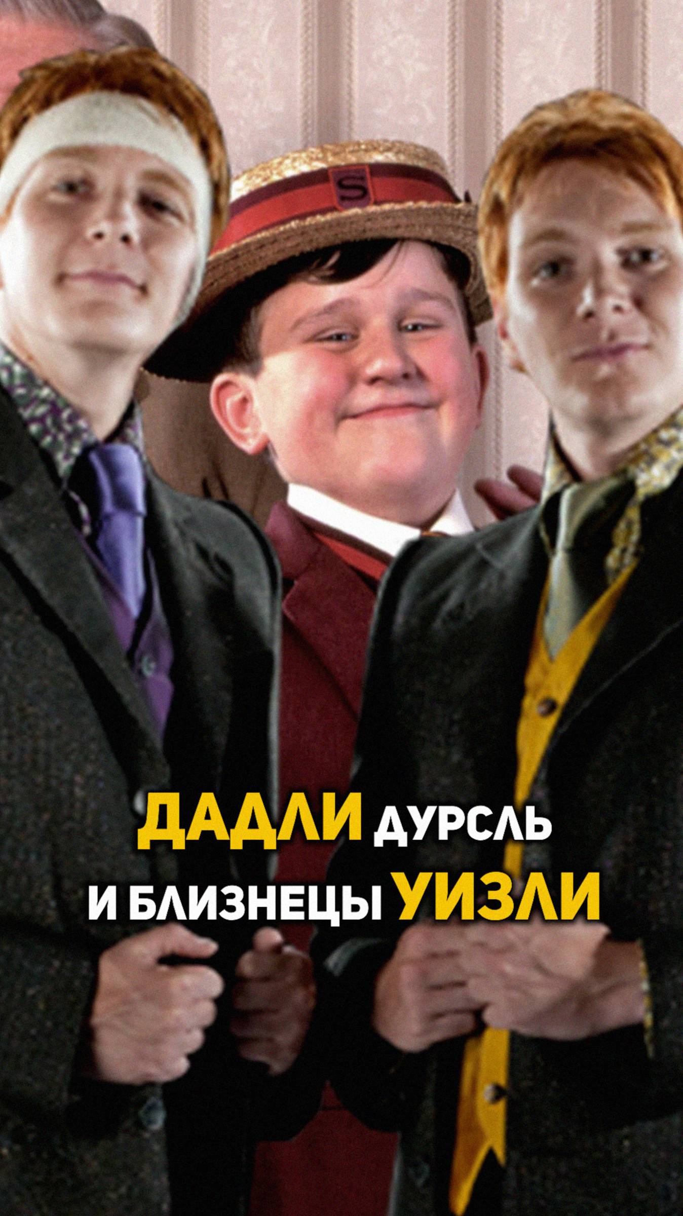 Что общего у близнецов Уизли и Дадли Дурсля? #гаррипоттер #shorts