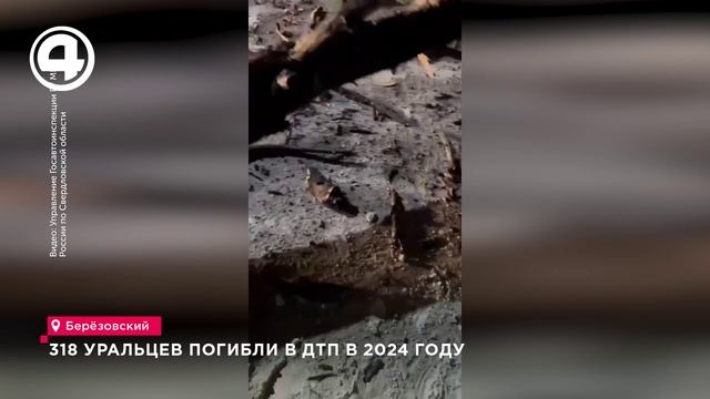 318 уральцев погибли в ДТП в 2024 году