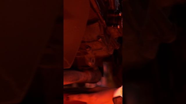 Cassiopeia Backstage КиноГорыныч