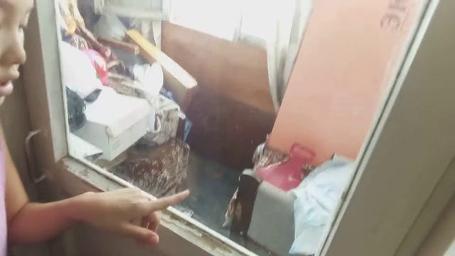 Моё первое видео
