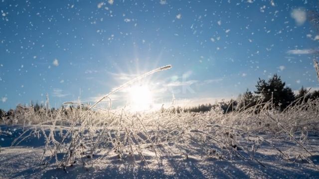 И вновь в России долгожданный снег