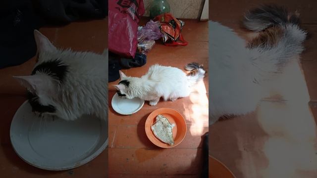 1000010151.mp4