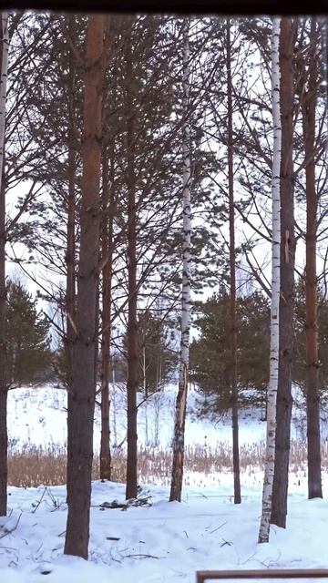 Тишина и красота! Уединение с природой!