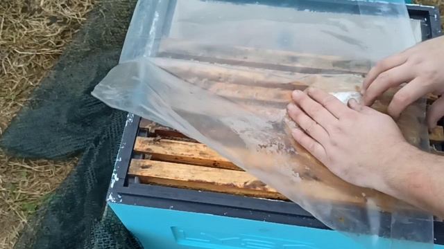 Раздаю дотации пчёлам в конце января.