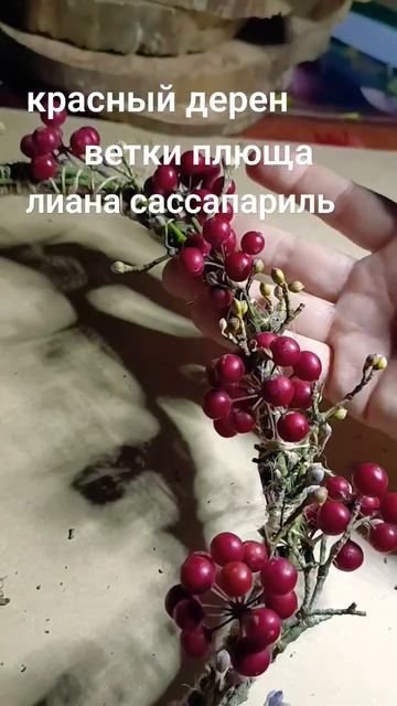 обережный венок Сассапариль