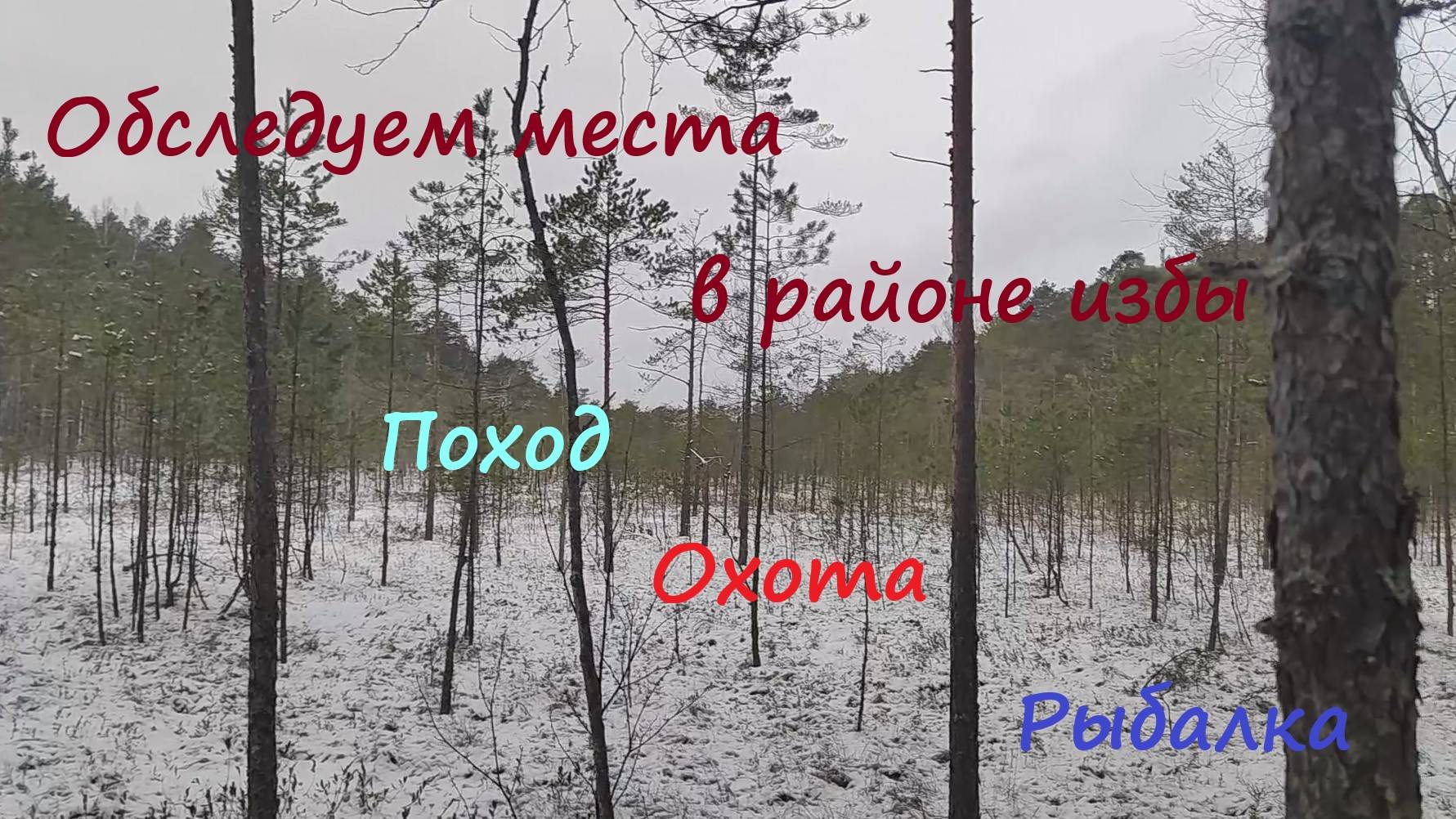 Обследуем места в районе избы. Поход, охота, рыбалка. #лес #hunting #survival #природа