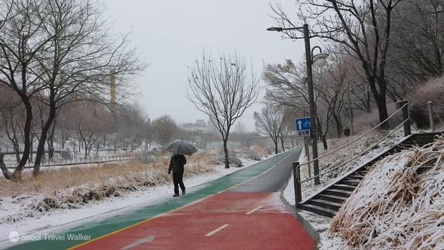 눈 내리는 서울 강남 도곡동 타워팰리스, 양재천 산책로 함께 걸어요. 서울