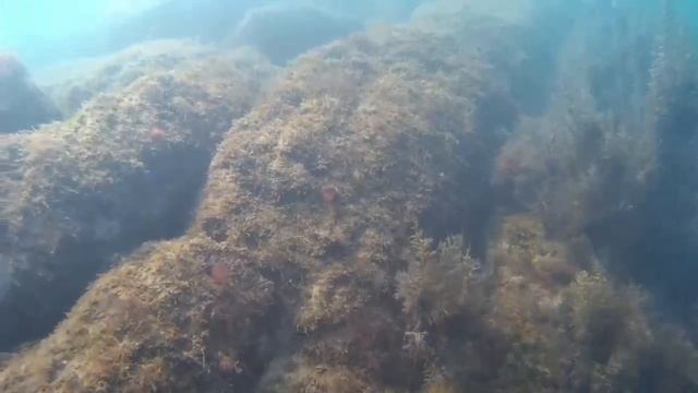 🏝️ПЛЯЖ СУККО| АНАПА| Подводный дрон в работе | 28.01.2025 |Чистое море ✅