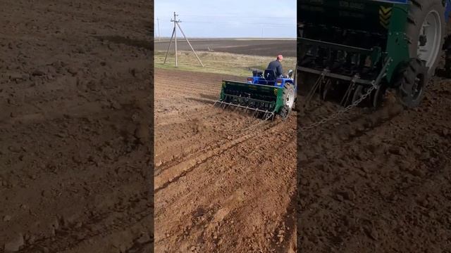 Посів ячменю з експарцетом любимій тещі😀 Тепер корівка буде сита💯