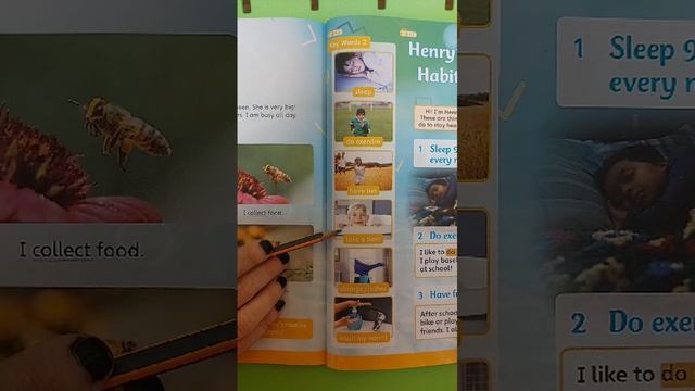 Английский для детей Primary path. Юнит 8.Урок 1. Слова ежедневные дела. Текст рутина Гарри. Полезно