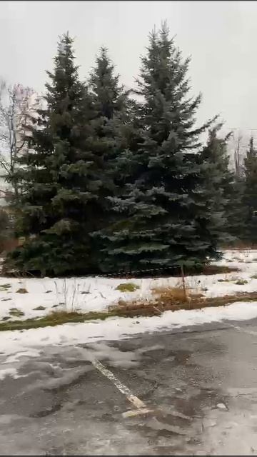 WhatsApp Video 2025-01-30 at 11.12.53