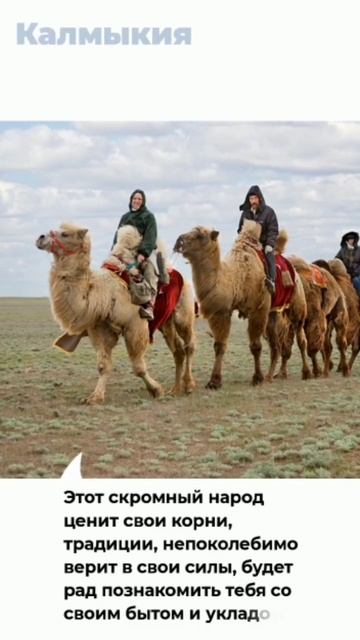 Калмыкия #travel #калмыкия #shorts