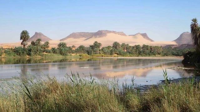 Африка запись.mp4