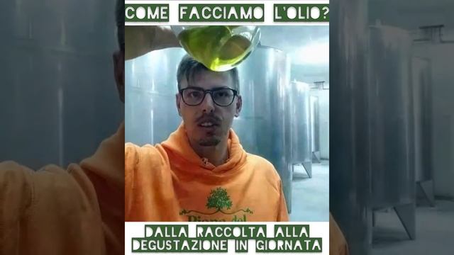 Filming-day dalla raccolta olive alla degustazione dell'olio evo bio Piana del Lentisco