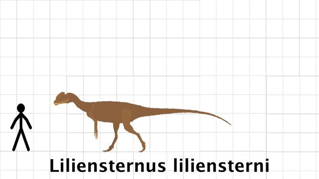 NSWNN - Size Comparison