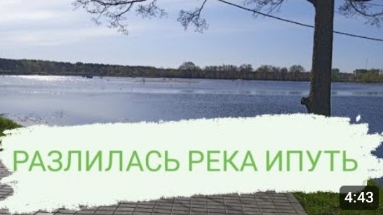 РАЗЛИЛАСЬ РЕКА ИПУТЬ В ДОБРУШЕ🌊