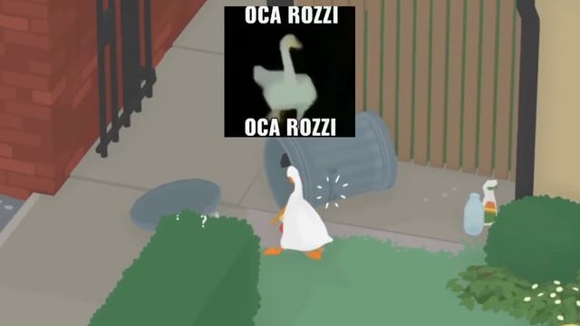 oca rozzi gaming