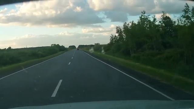 Косуля подскользнулась
