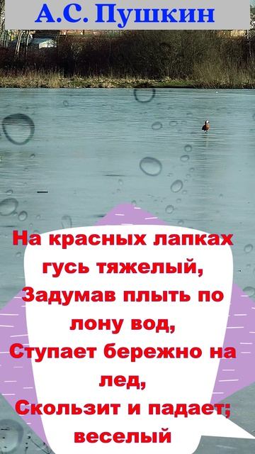 Задумав плыть по лону вод  
Ступает бережно на лед