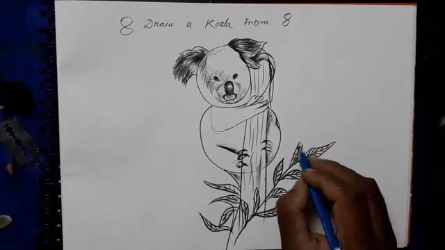 Different Idea || Draw a Koala from 8