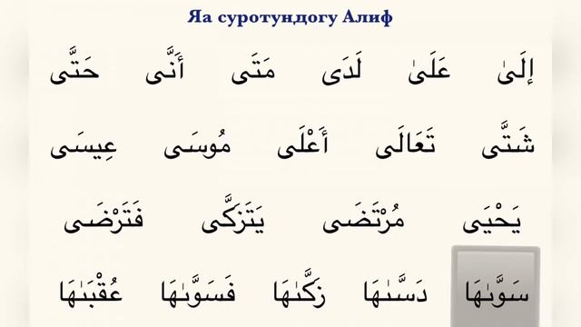 Муаллим сани 15-сабак Яа суротундогу жана Уау суротундогу Алиф