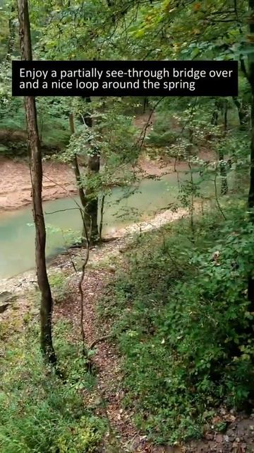 Trails of Mammoth Cave - Echo River Springs Trail