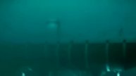 Его боятся поднимать со дна моря