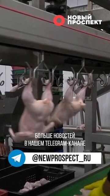 Россельхознадзор нашел листерию в мясе птицы производителя из Казахстана, а потом удалил сообщение