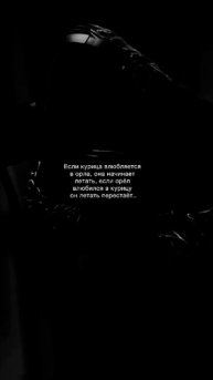 Делай выбор с умом 💨✈️