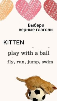 Выбери верные глаголы