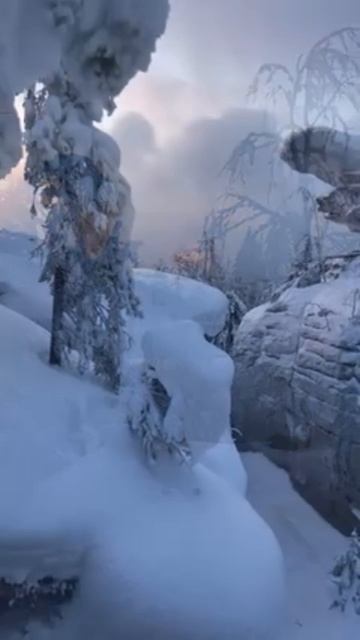 Зимняя сказка