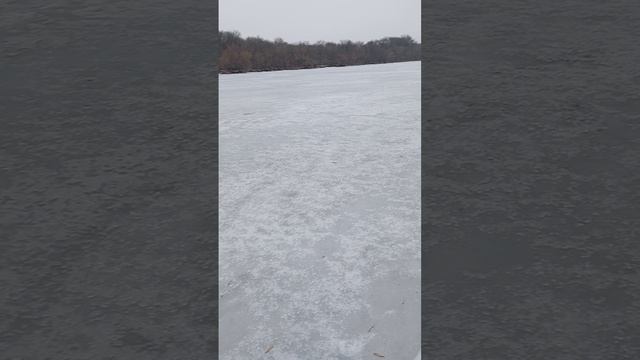 не выдержала душа