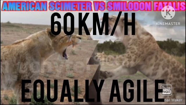 SMILODON FATALIS VS AMERICAN SCIMETER CAT - WHO WOULD WIN