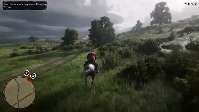 (PS4 RDO) Mildly Disastrous - Camera B