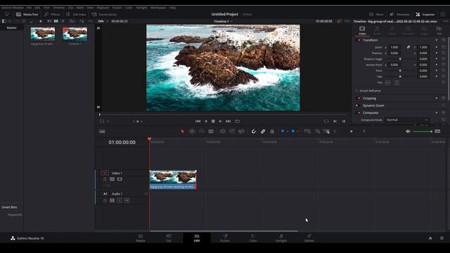 How To EXPORT VIDEO In Davinci Resolve