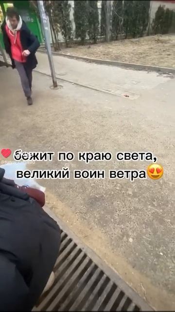 одиноки воин ветра