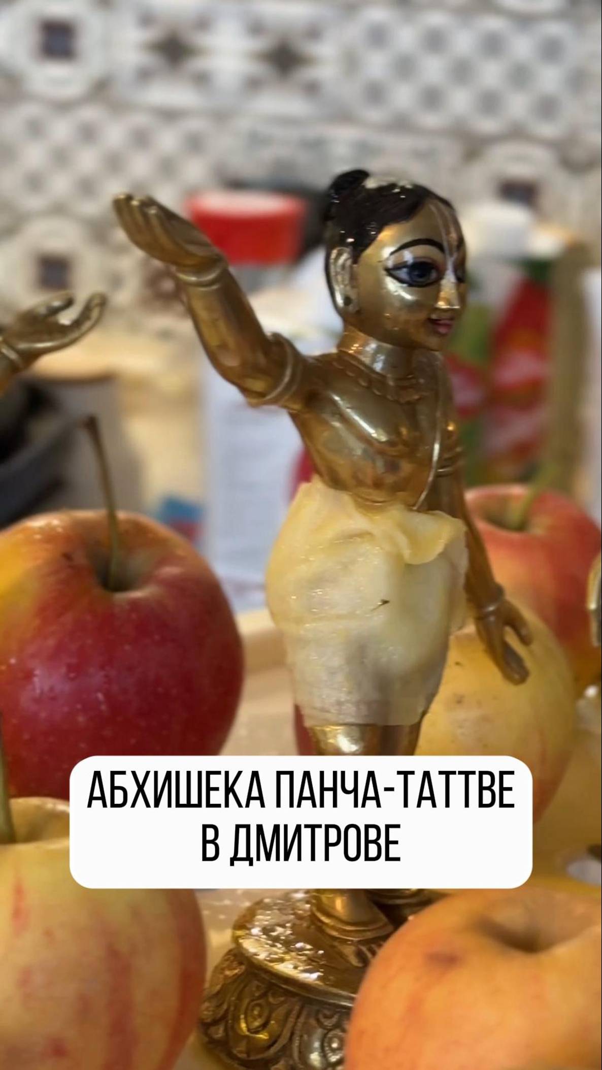 Абхишека Панча-Таттве в Дмитрове!