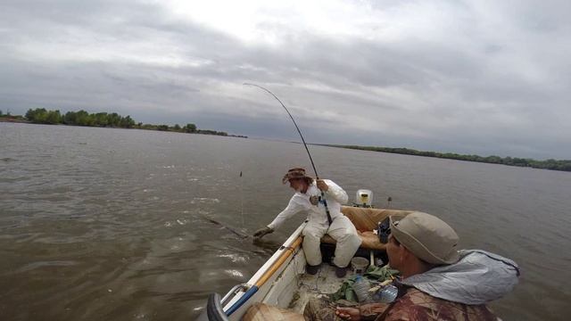 Квочение сома. Отчет по Большой  Волжской воде . Часть 1 Мастер класс с Волковым Алексеем.