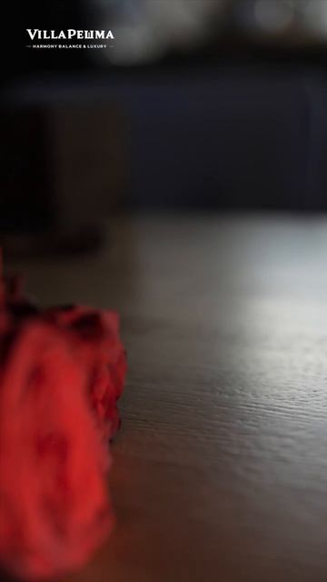 Ваш особенный день влюбленных в Villa Решма❤️🔥