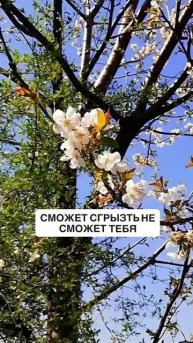 Наш рост на примере природы #осознанность #бизнес #мудрость #отношения #личностныйрост