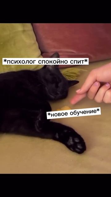 Психолог и обучение