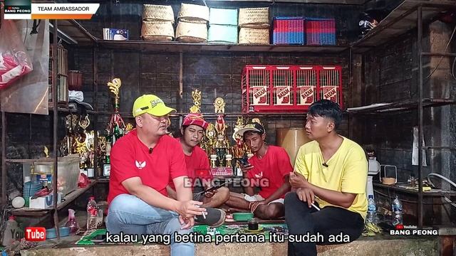 TIDAK BEGITU AMBISI KALAUPUN DIKASIH JUARA YA LEBIH BAGUS I HIBIKI TRAH KALSTAR DI TEAM AMBASSADOR