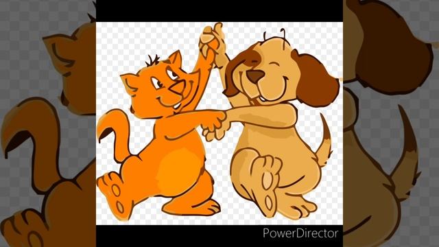 Танец кошек и собак