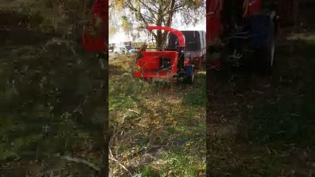 BearTech Медведь M2 Проверка